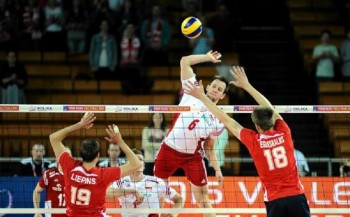 Kurek