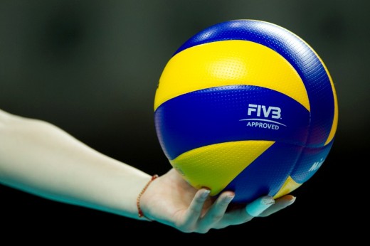 WorldofVolley :: Become official FIVB volleyball agent STEP 1: Who can ...