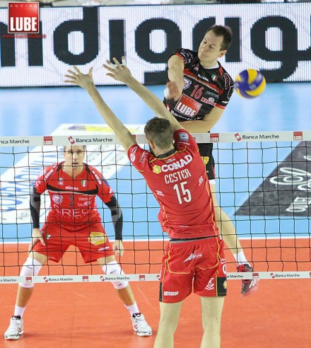 Kurek