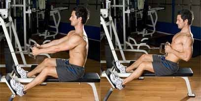 Seated-Cable-Rows