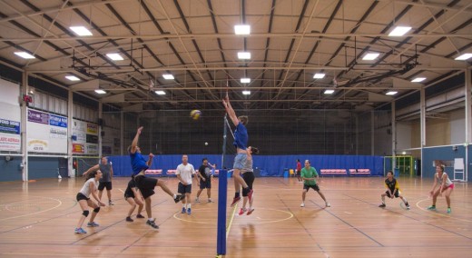 Cool Volley