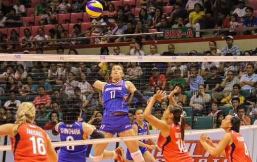 Generika vs. Mane 'n Tail