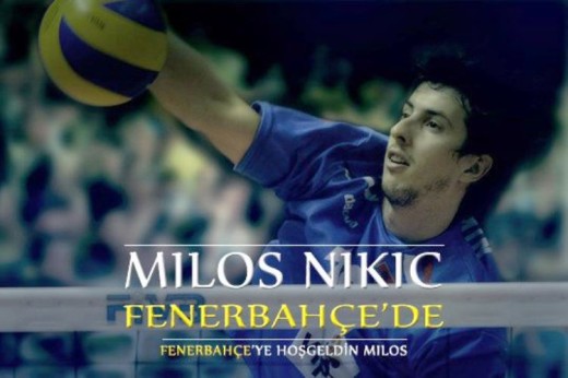 Miloš Nikić