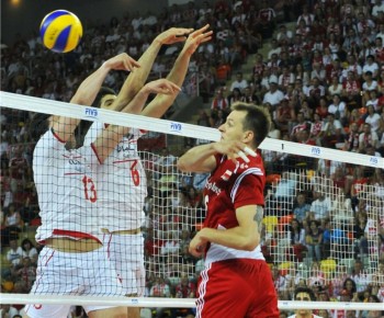 Kurek