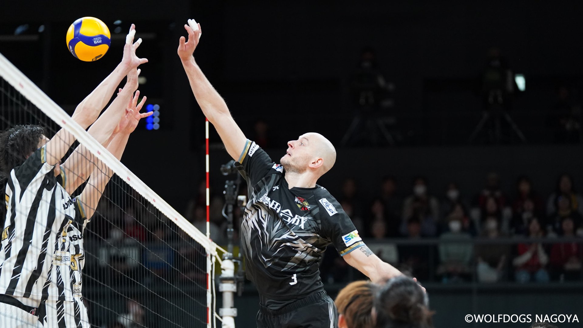 WorldofVolley :: JPN M: Wolfdogs Nagoya Ends Panasonic