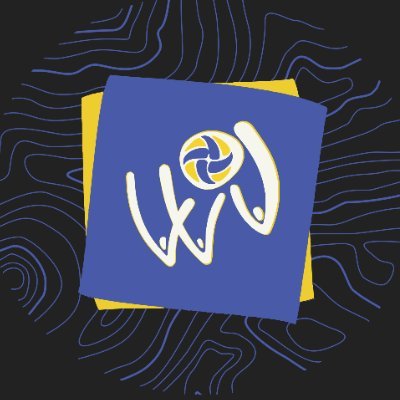 WorldofVolley LLC